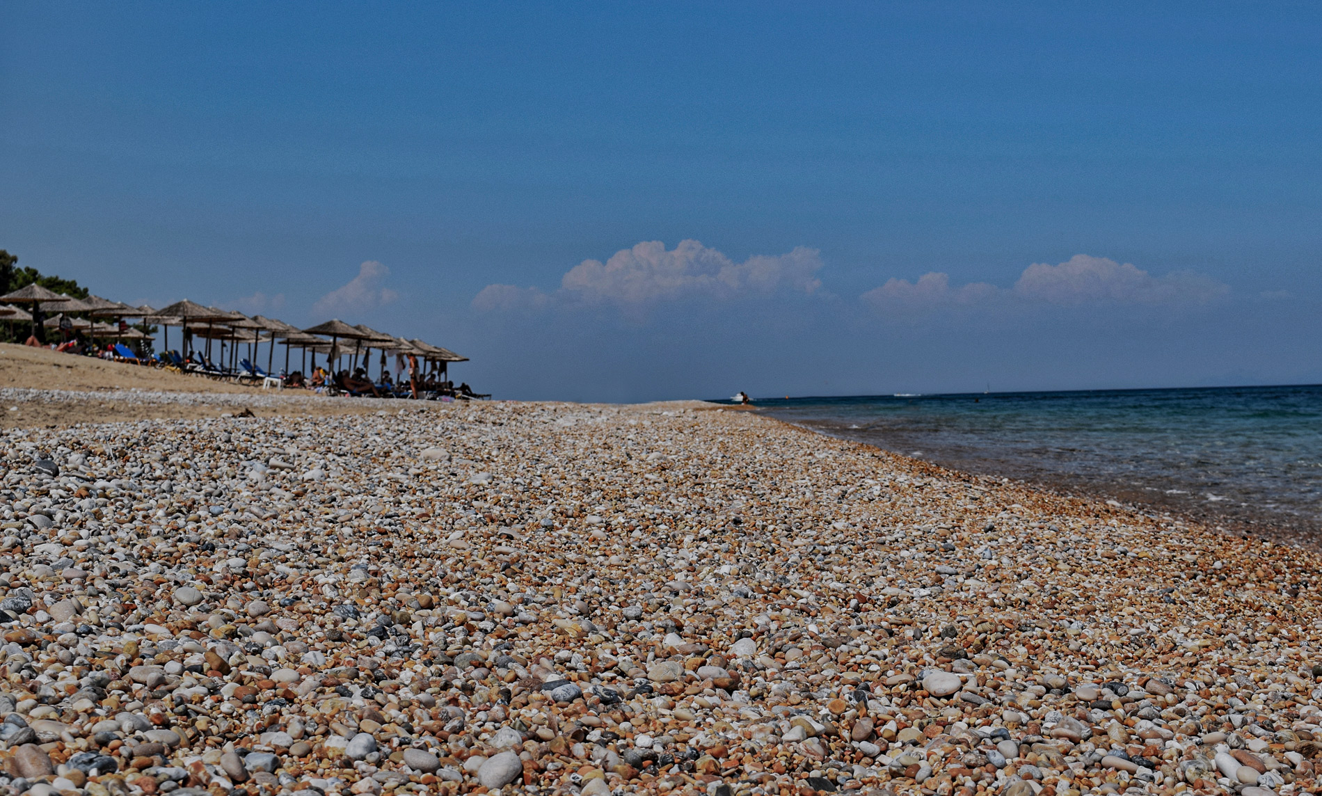 Apartments Skala Kefalonia - Studios Skala Kefalonia - Kefalonia Apartments - Kefalonia Studios - Kefalonia Accommodation - Accommodation Skala Kefalonia